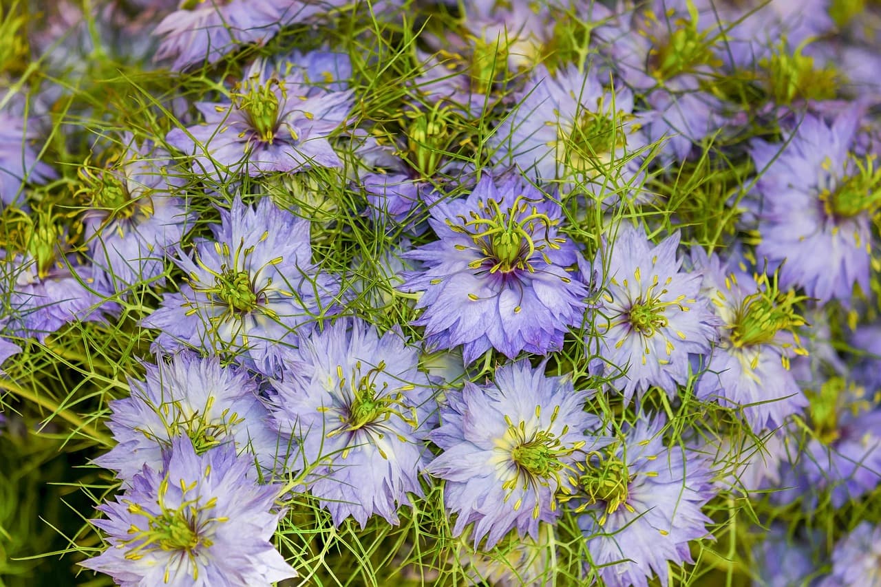 Comment Créer des Pièces Uniques en Rénovant Vos Meubles